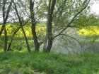Bild_095